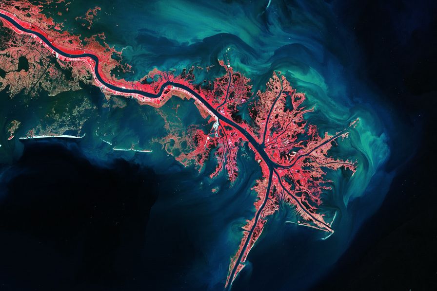 Mississippi River Delta